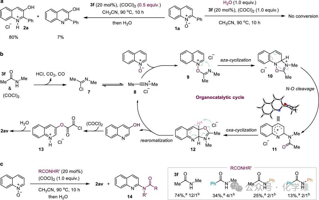 Organocatalytic Meta-C-H Hydroxylation of Azaarene N-Oxides by the Team of Hua Wu at Shanghai Jiao Tong University