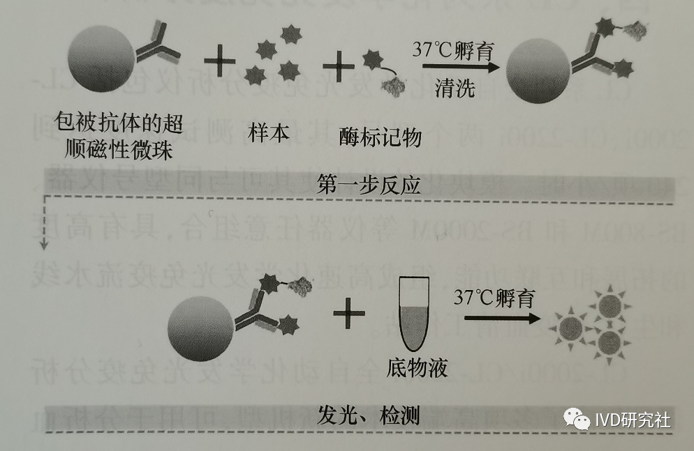 Overview of Chemiluminescent Immunoassay Analyzers