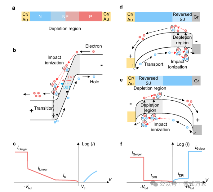 Asymmetric Schottky Junction Design Achieves Bidirectional, Low-Power Geiger Mode Avalanche Diode