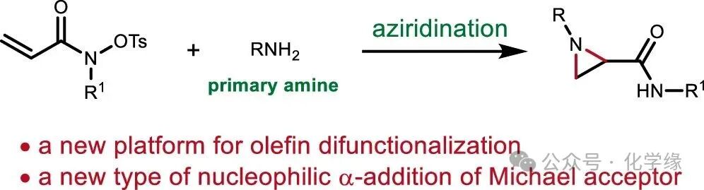 Efficient Synthesis of N-Alkyl or N-Aryl Nitrogen-Containing Propanes via α and β Nucleophilic Additions