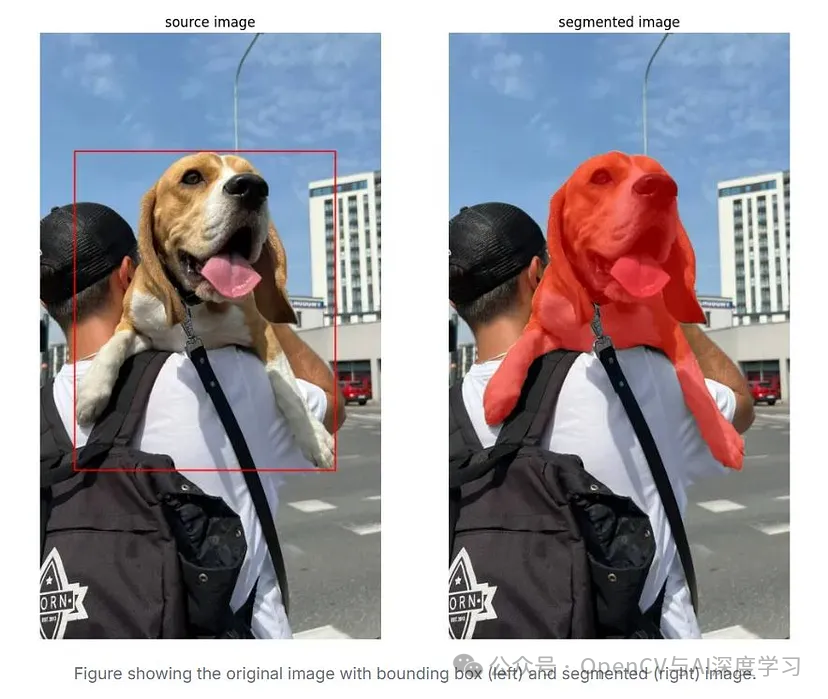Implementing SAM Segmentation with TensorRT in C++
