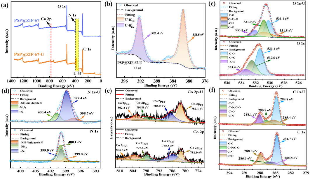 ZIF-67 Embedded Polyacrylamide/Sodium Alginate/Polyacrylic Acid Hydrogel for Efficient and Selective Uranium Extraction