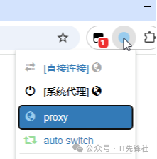 Understanding HTTP Proxy Authentication: How Software Works, the Process, and the Principles