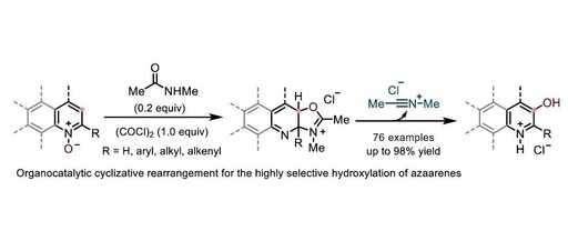 Organocatalytic Meta-C-H Hydroxylation of Azaarene N-Oxides by the Team of Hua Wu at Shanghai Jiao Tong University