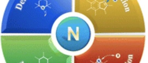 Review by Professor Hongjian Lu's Team at Nanjing University | Recent Advances in Skeleton Editing Based on Nitrogen Atom Manipulation