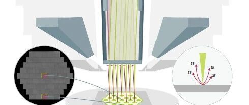 Discussion on Advanced Biomedical Imaging Equipment (Series 14: MultiSEM 505 Ultra-High-Throughput Multi-Beam Field Emission Scanning Electron Microscope)