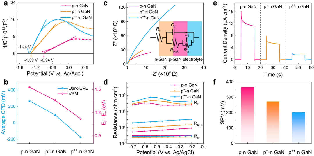 Novel Photoelectrochemical Photodetector Based on Semiconductor p-n Junction for Biosensing Applications