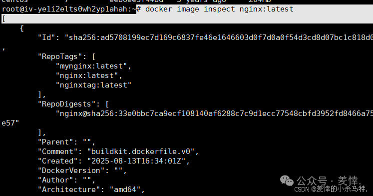 Mastering Docker End-to-End: Container Management, Nginx Homepage Customization, BusyBox Tool Practice, and Tencent Cloud Repository Deployment