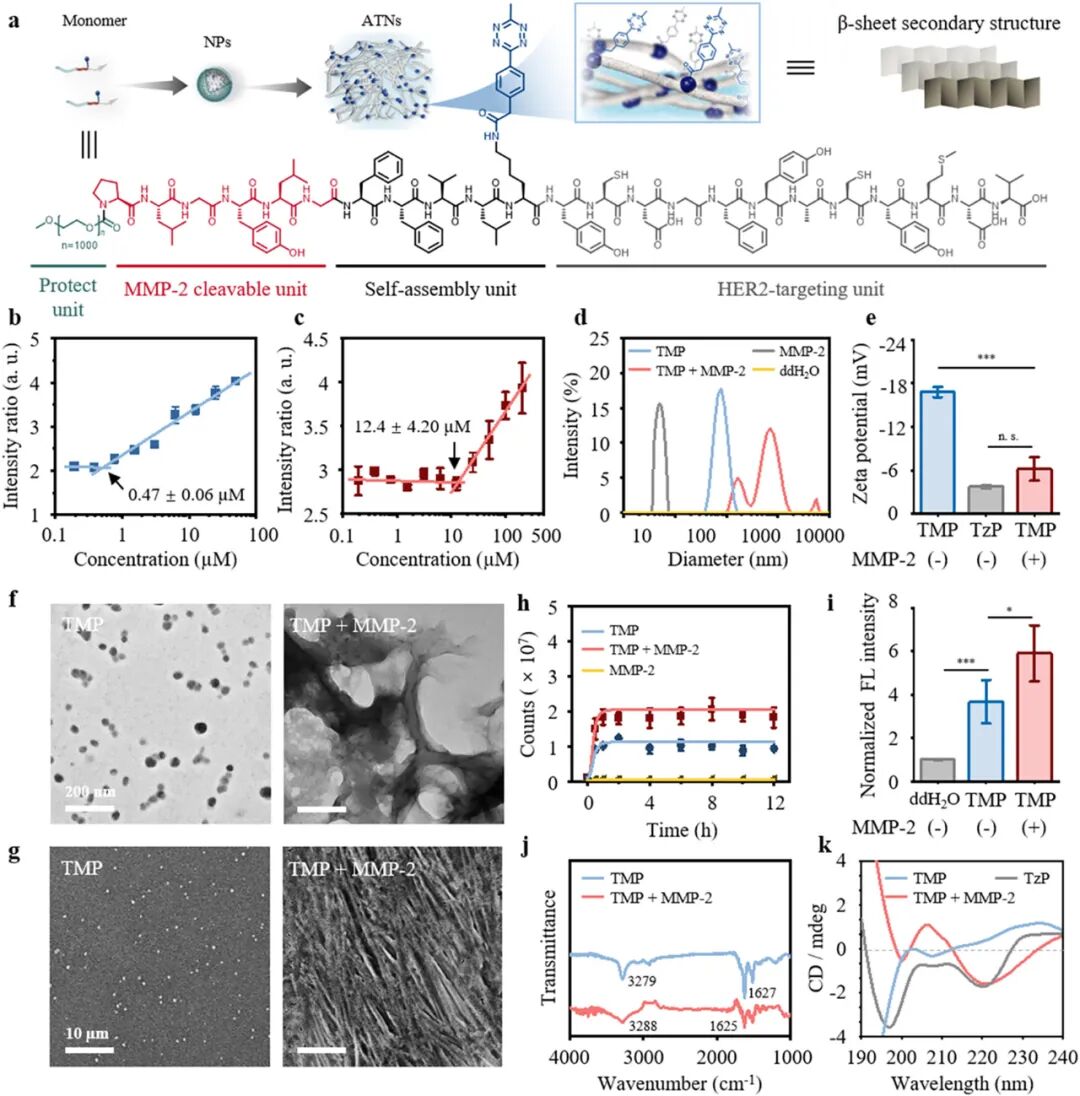 Self-Assembly of Artificial Topological Nanostructures for Enhanced Bioorthogonal Activation and Drug Penetration in Cancer Immunotherapy