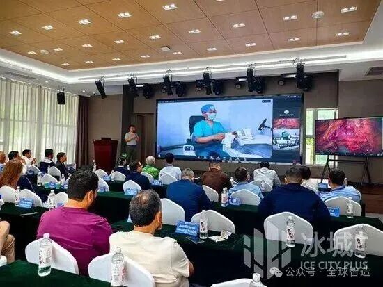 Ice City Surgical Robot 'Four-Hand Coordination' Shocks the World | Harbin Sizerui Breaks Monopoly and Reshapes Global Market Landscape After Ten Years of Efforts