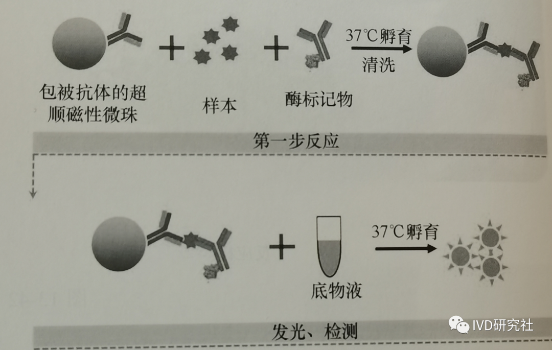 Overview of Chemiluminescent Immunoassay Analyzers