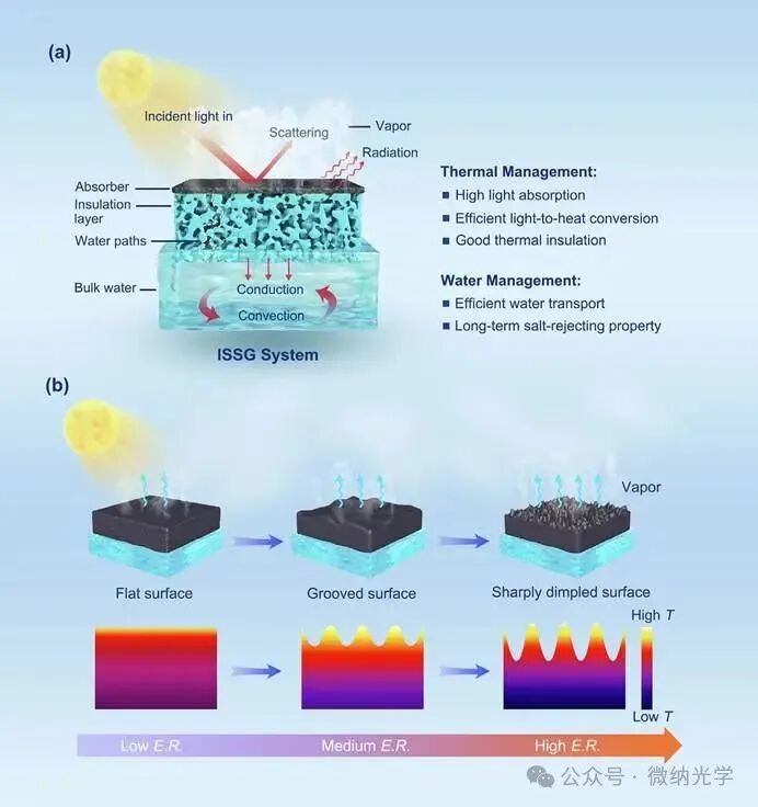 Academic Focus: Structural and Functional Customization of Interfacial Solar Evaporators Using 3D Printing Technology