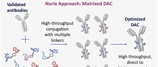New Directions in ADC: Nurix's Next-Generation DAC Technology Platform