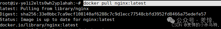 Mastering Docker End-to-End: Container Management, Nginx Homepage Customization, BusyBox Tool Practice, and Tencent Cloud Repository Deployment