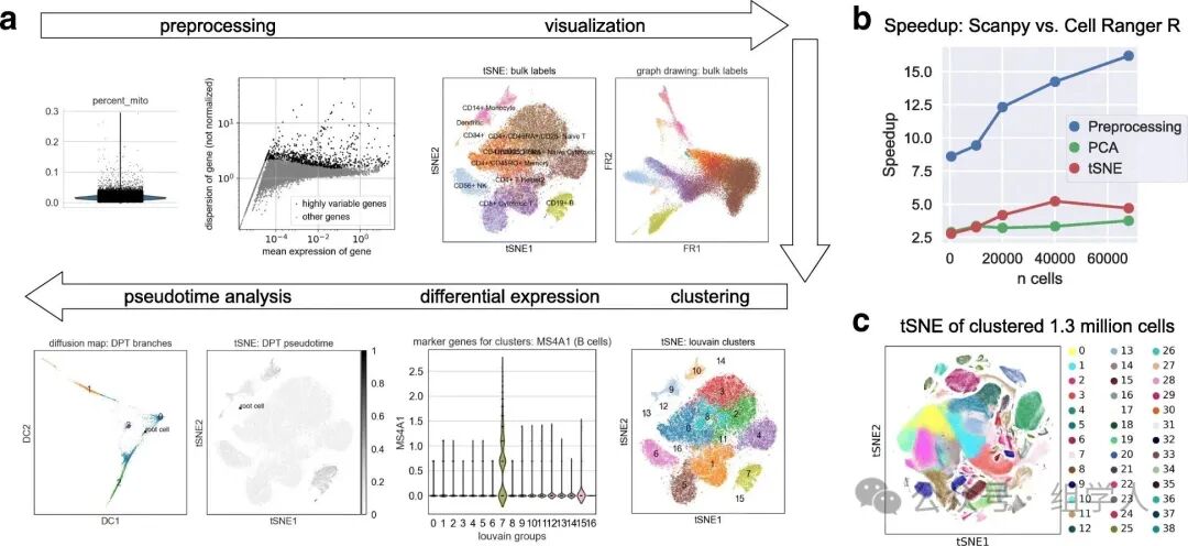 Best Practices for Single-Cell Analysis: 3. The Core Analysis Ecosystem of Python - scverse