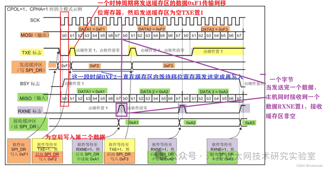 Detailed Explanation of STM32 SPI Protocol Communication