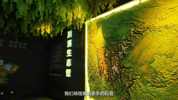 Children at Chengdu Polar Ocean Park Chat with AI Robots
