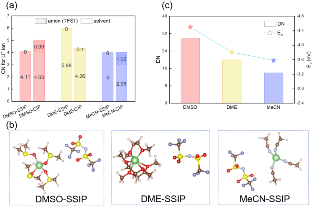 Ab Initio Molecular Dynamics Simulation of Co-N-C Single-Atom Catalysts at the Electrolyte Interface for Oxygen Reduction Reaction