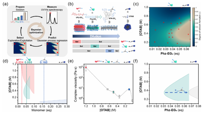 Bayesian Optimization for Multicomponent Supramolecular Systems