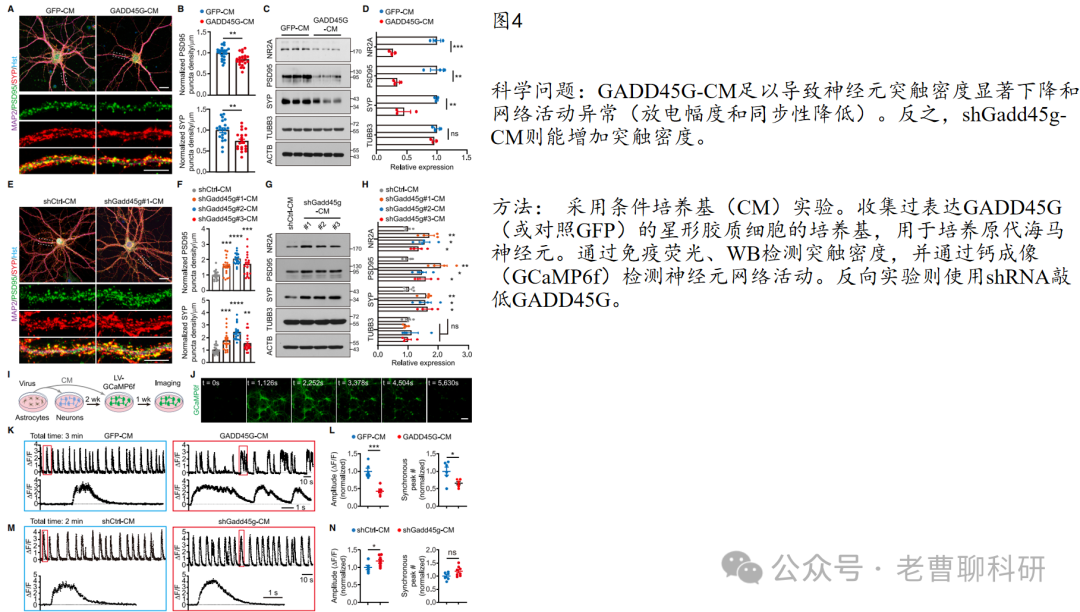GADD45G as a Pathological Sensor: Coordinating Reactive Gliosis and Neurodegeneration