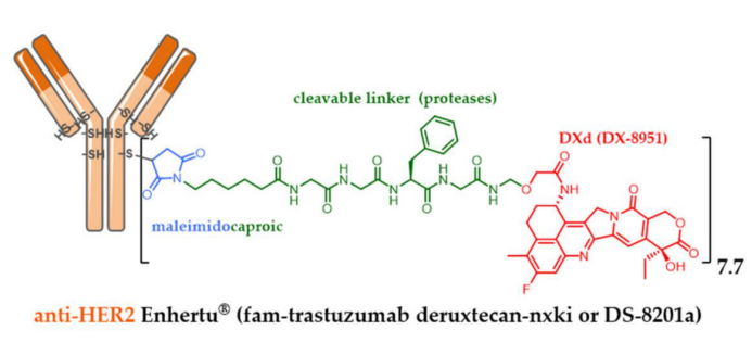The Evolution of Antibody-Drug Conjugates (ADCs)