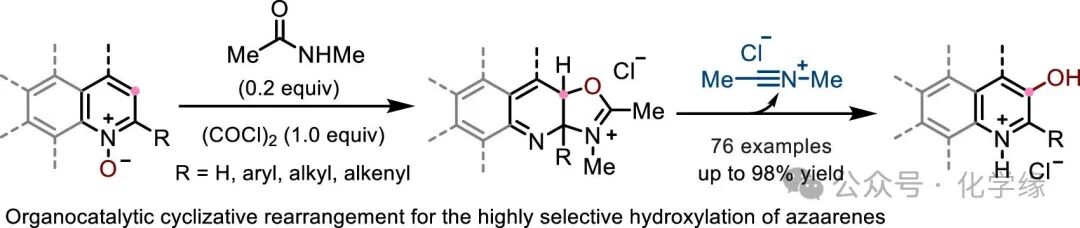 Organocatalytic Meta-C-H Hydroxylation of Azaarene N-Oxides by the Team of Hua Wu at Shanghai Jiao Tong University