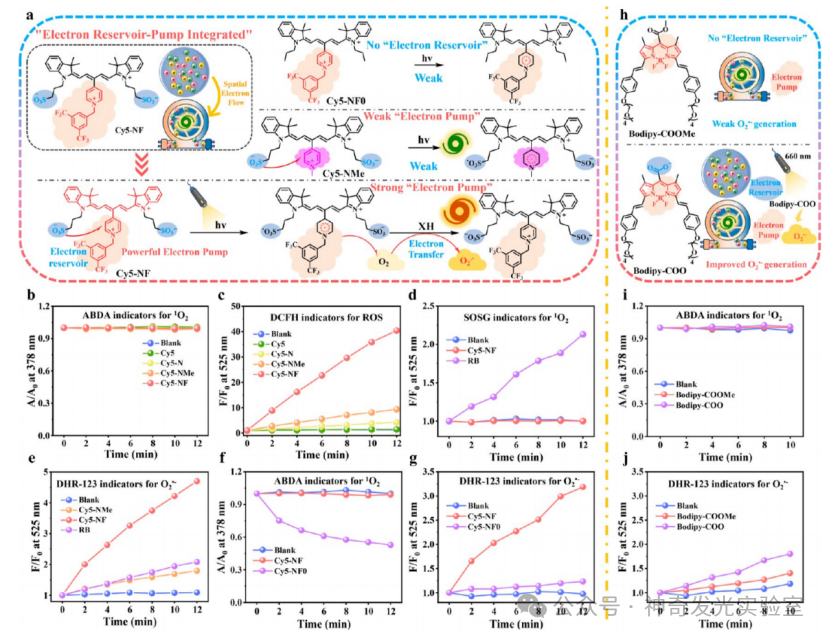 Controlled Electron Transfer: Implementing a Reservoir-Pump Integrated Strategy to Develop a Type I Photosensitizer for Evoking Long-Term Tumor Immunological Memory