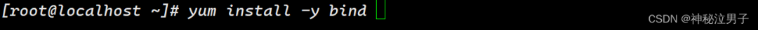 Setting Up a DNS Domain Name Resolution Server on Linux (Detailed Version)