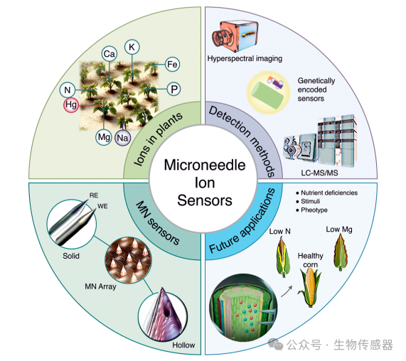 Microneedle Sensors for Plant Ion Monitoring: A Step Towards Smart Agriculture