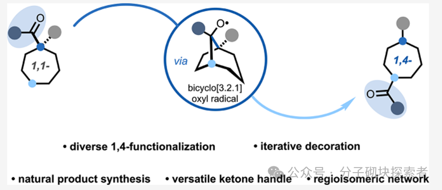 The Elusive Seven-Membered Ring Tamed! A New Photocatalytic Strategy Achieves Site-Selective Modification