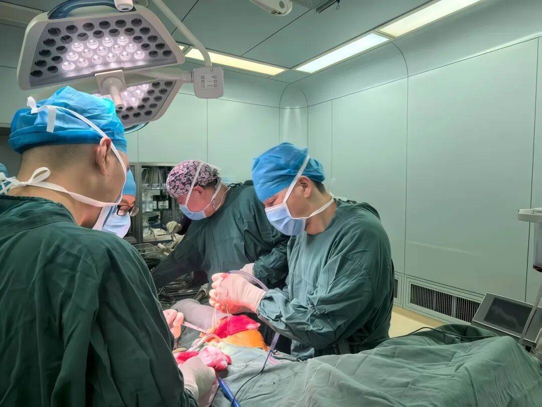 First in the County! Successful Reconstruction of Hip Joint Revision Surgery Using Titanium Alloy 3D Printed Pelvic Prosthesis at Tonglu County Traditional Chinese Medicine Hospital