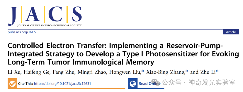 Controlled Electron Transfer: Implementing a Reservoir-Pump Integrated Strategy to Develop a Type I Photosensitizer for Evoking Long-Term Tumor Immunological Memory