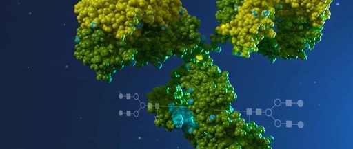Development of Antibody-Drug Conjugates (ADCs): Payloads, Linkers, Antibodies, and Artificial Intelligence