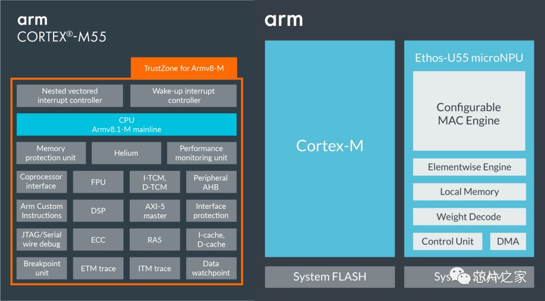 Arm Announces the Launch of Cortex-M55 Core and Ethos-U55 microNPU, Targeting Low-Power Edge AI