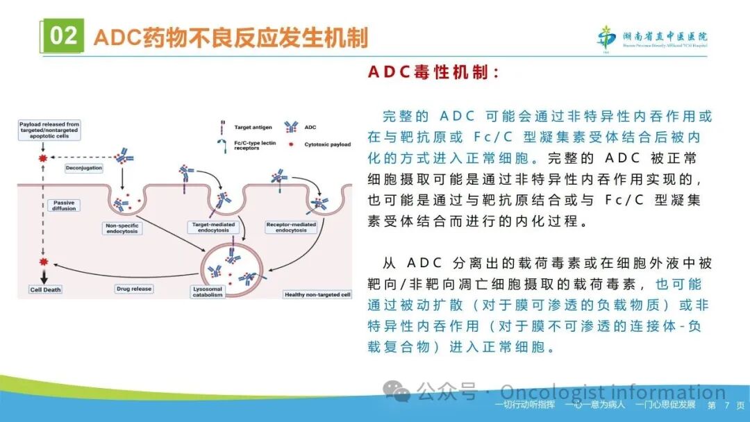 Identification and Management of Adverse Reactions to Antibody-Drug Conjugates (ADCs)