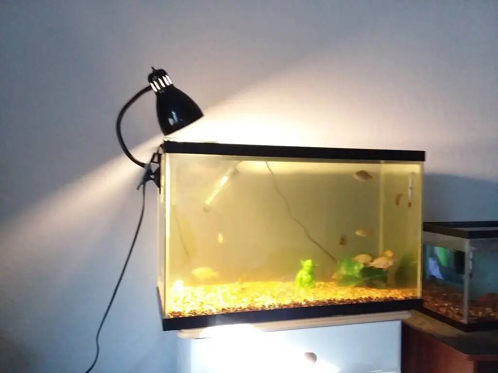 Aquarium Lighting II: Say Goodbye to Expensive Aquarium Lights, 3D Printing Opens a New Era of Cost-Effective Aquarium Illumination