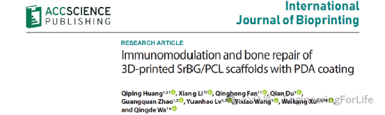 3D Printed Strontium-Doped Bioactive Glass/Polycaprolactone Scaffolds Enhance Immunomodulation and Bone Repair through Polydopamine Surface Modification