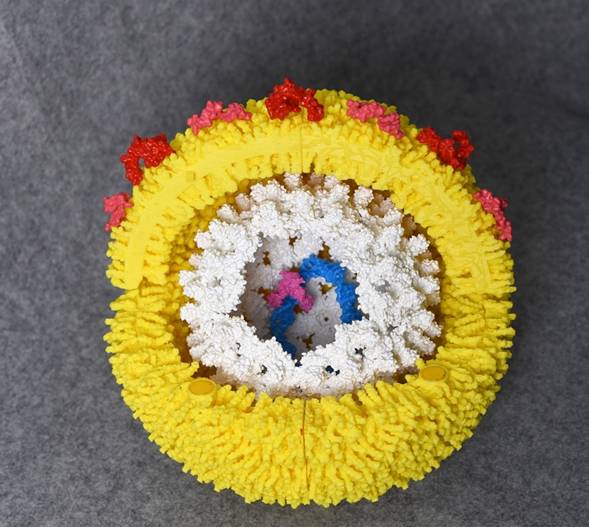 3D Printing of Viruses