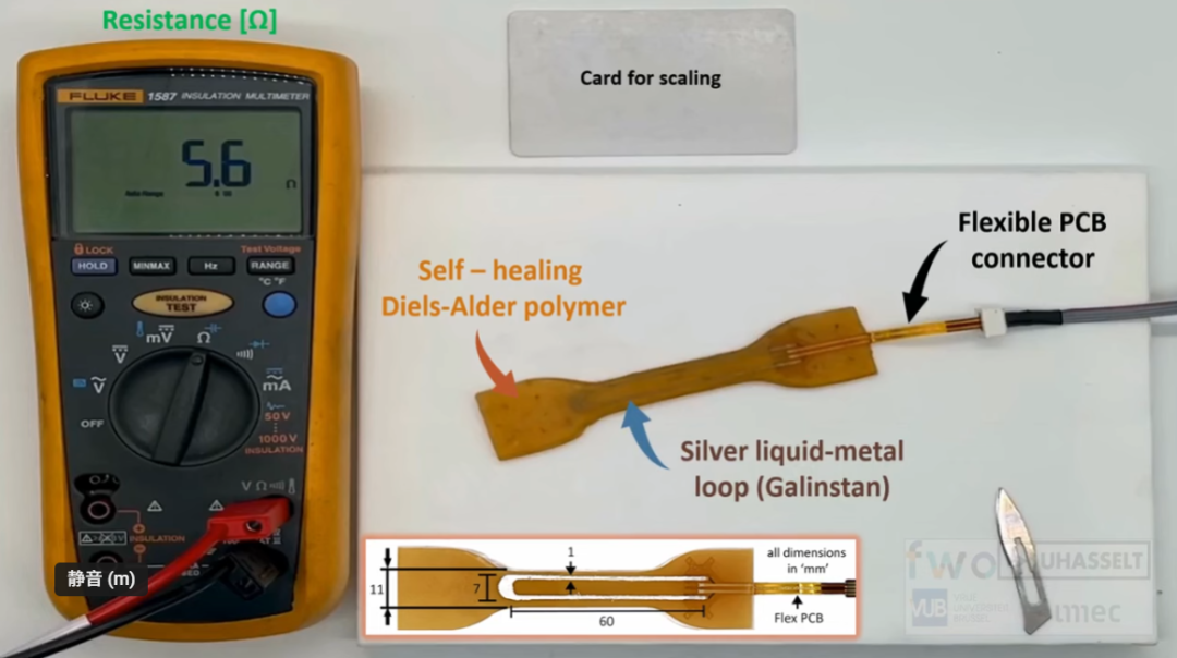 Brain-Machine Interface | Stretchable and Self-Healing Sensors Can Continue to Function Even When Cut in Half (08.22)