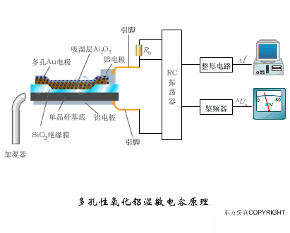 Animated Schematic Diagrams of PLCs and Sensors