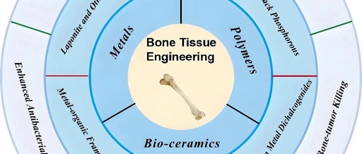Recent Advances in Integrated 3D Printed Scaffolds with 2D Nanomaterials for Bone Repair and Regeneration