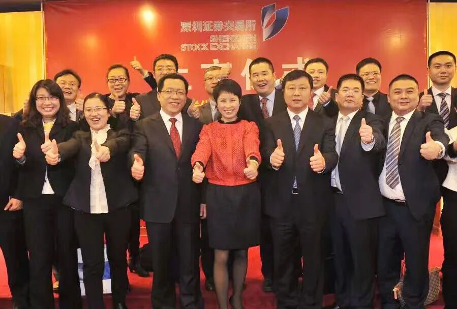 Yangzhou's Female Chip CEO Leads a 2.2 Billion Acquisition