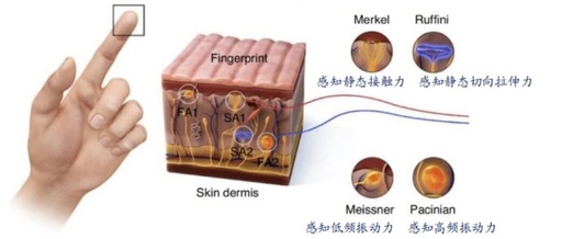 In-Depth Analysis of Sensors in Humanoid Robots (Six-Dimensional Sensing, Tactile, Visual, Auditory, Electronic Skin)