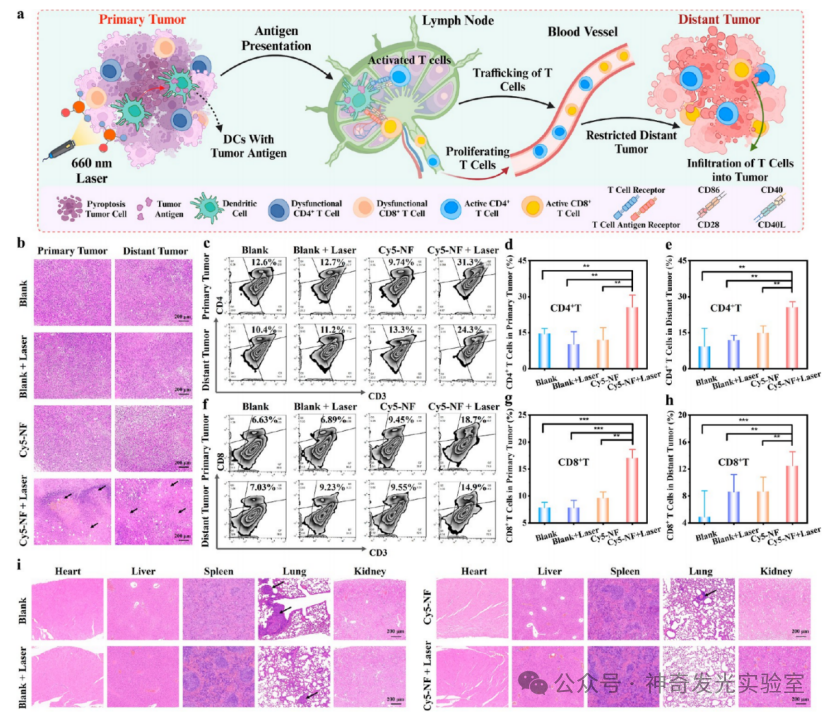 Controlled Electron Transfer: Implementing a Reservoir-Pump Integrated Strategy to Develop a Type I Photosensitizer for Evoking Long-Term Tumor Immunological Memory