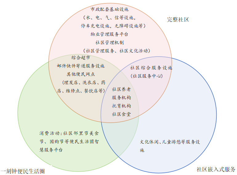 Understanding Embedded Community Services
