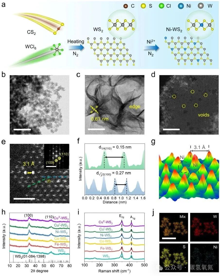 Metal-Support Interaction Breakthrough: Ni-WS₂ Nanosheet Catalyzes Nitrate Electroreduction with Ammonia Yield Exceeding 23 mgh⁻¹cm⁻²