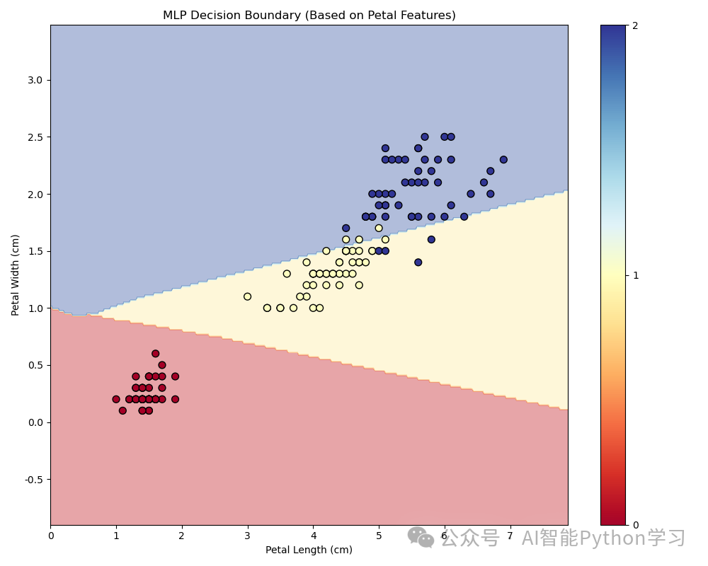Multi-Layer Perceptron (MLP) Overview