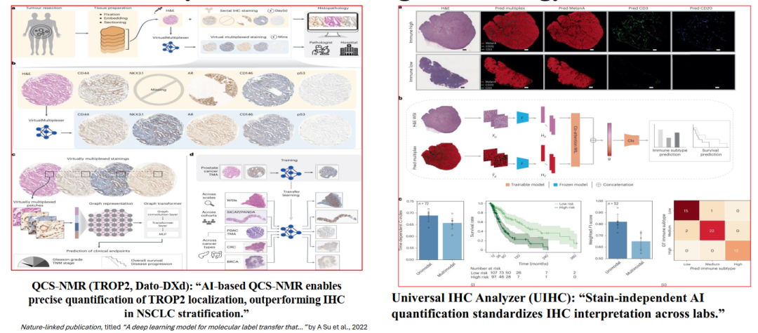 Biomarkers for ADCs: IHC and Beyond