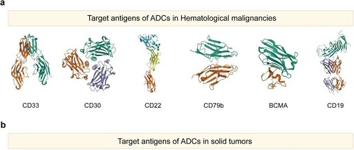 ADC: Where It Comes From and Where It Is Going?