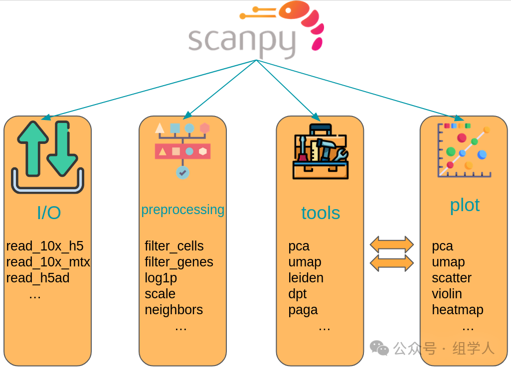 Best Practices for Single-Cell Analysis: 3. The Core Analysis Ecosystem of Python - scverse